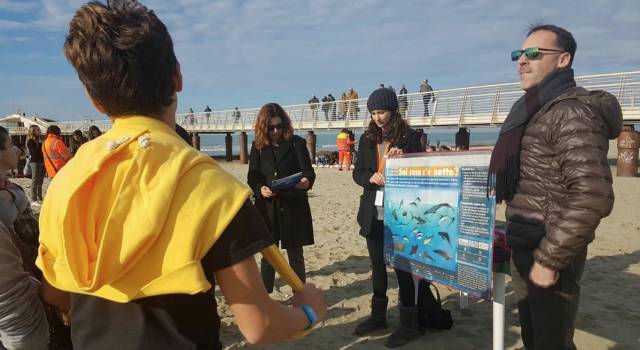 Sulla spiaggia in sicurezza: al via i progetti scuola-balneari