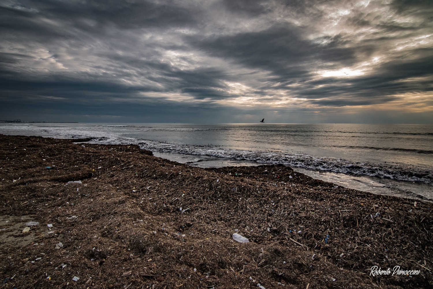 mare