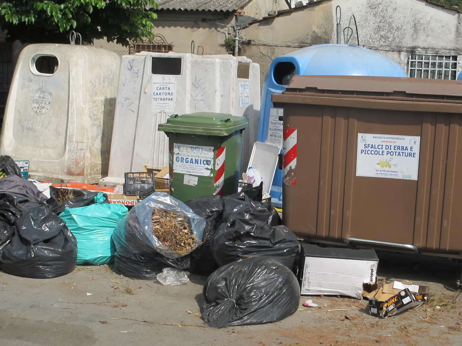 Una squadra per  tutelare l’ambiente