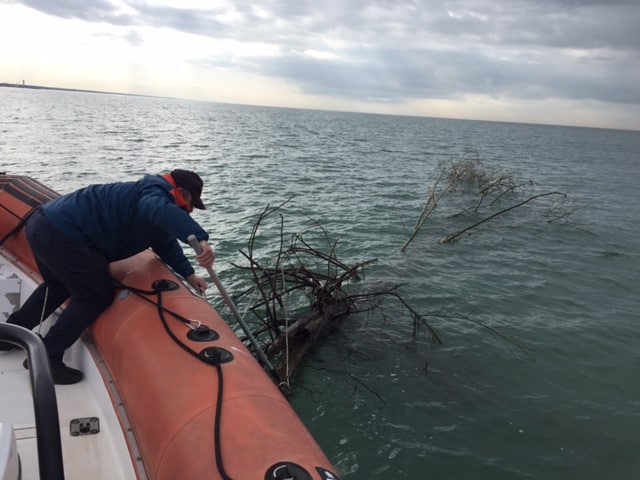 Tronco di 15 metri alla deriva in mare