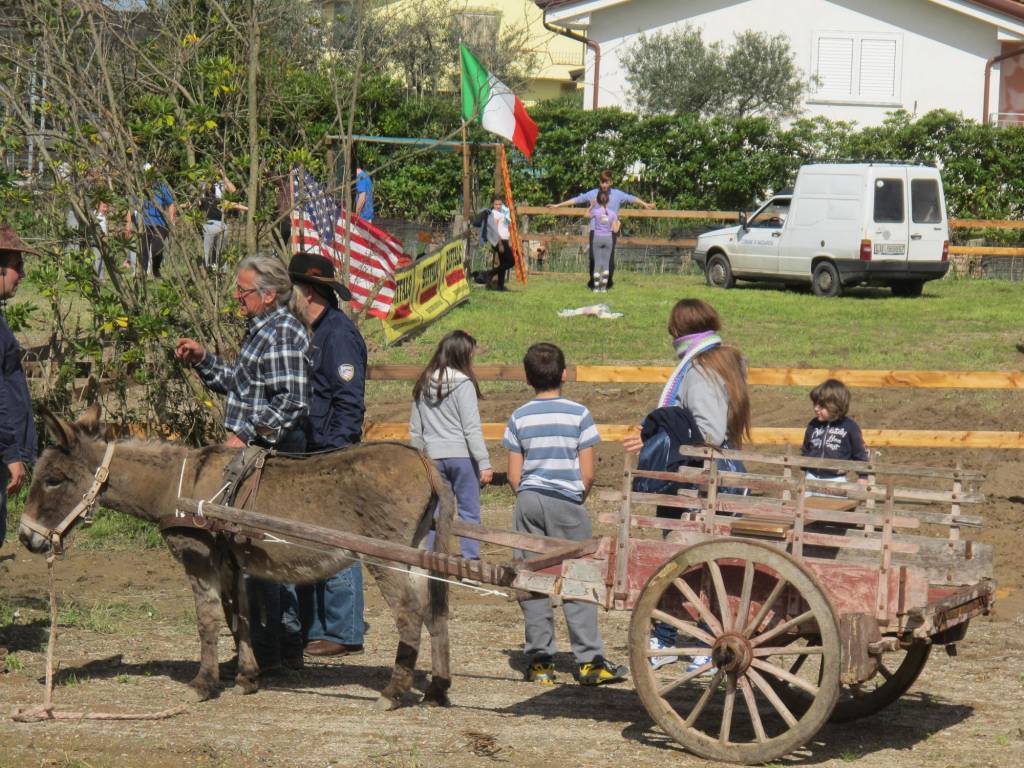 mostra agrozootecnica