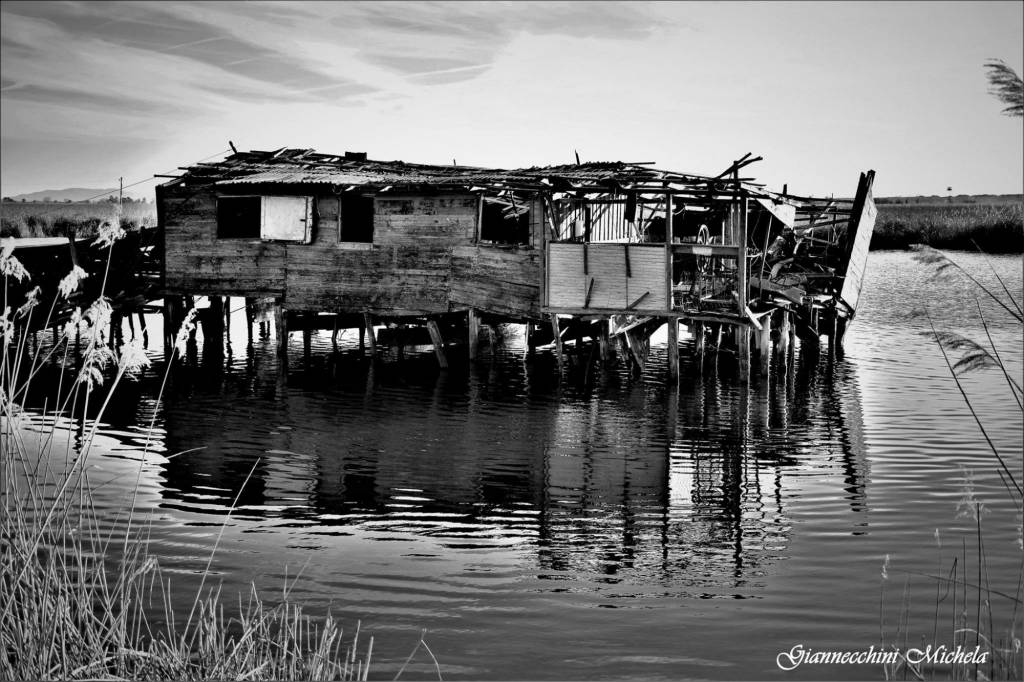 padule bilancia lago