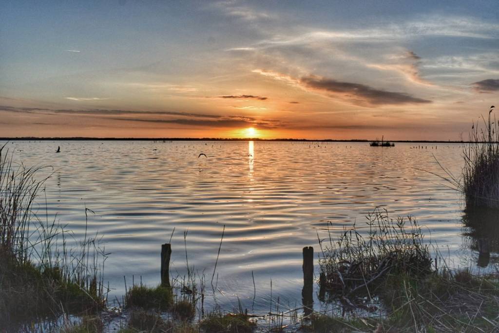 lago di massaciuccoli