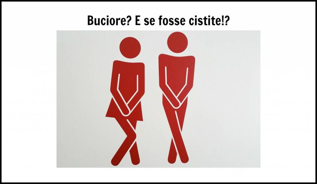 Cistite