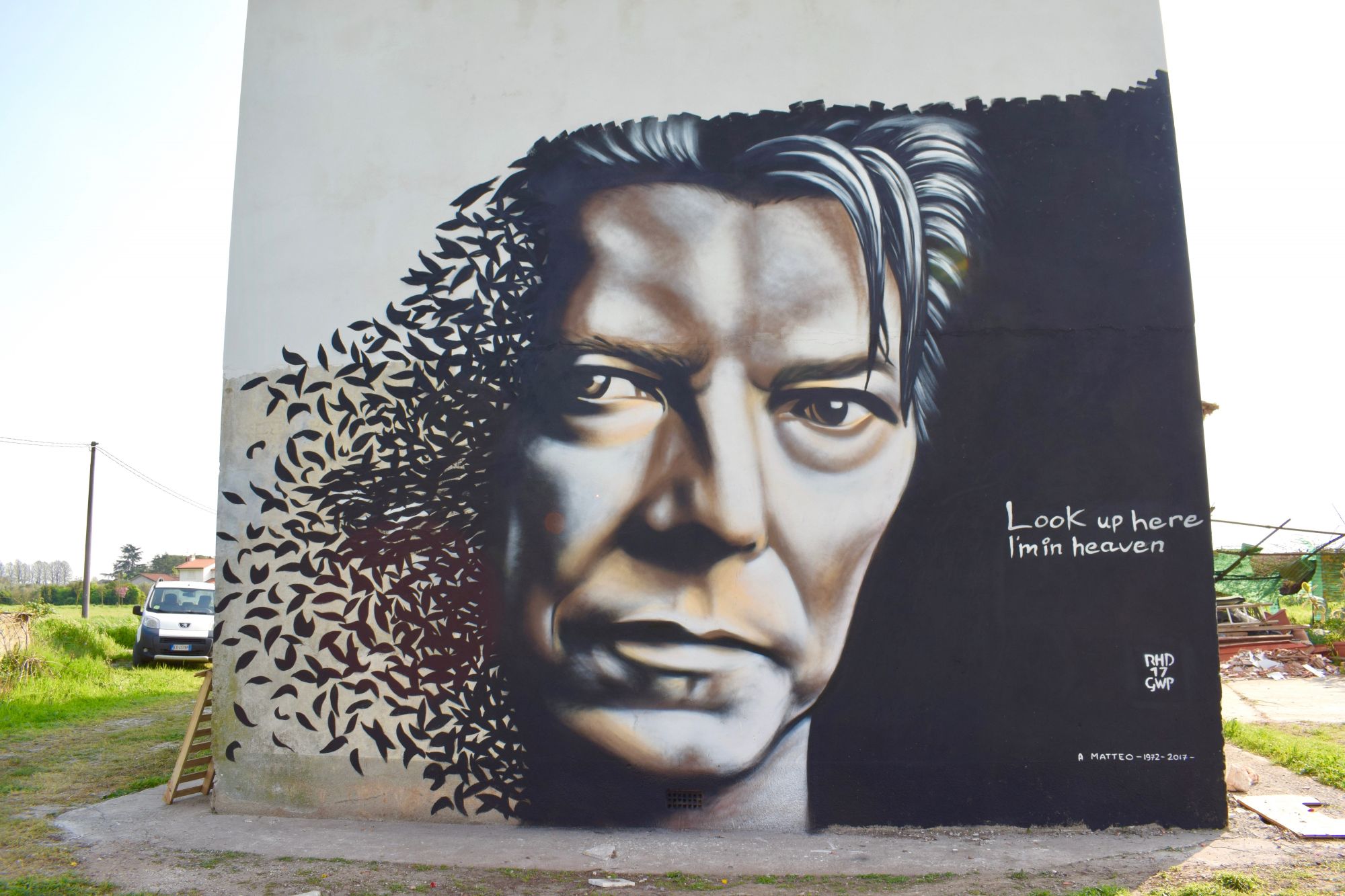 David Bowie, Camaiore ricorda la star con un enorme ritratto