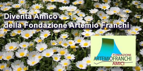 amici della fondazione artemio franchi