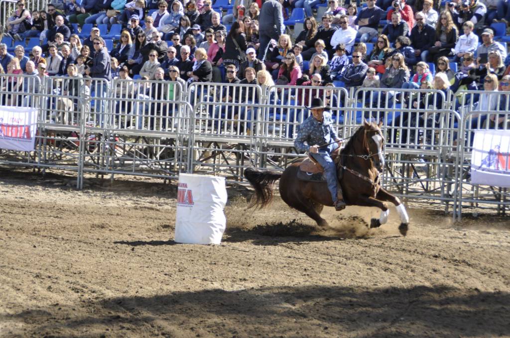Foto Western Show Pietrasanta