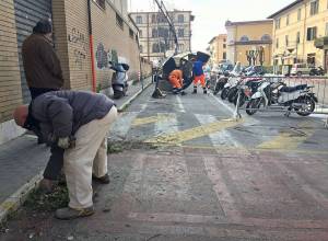 stazione querceta
