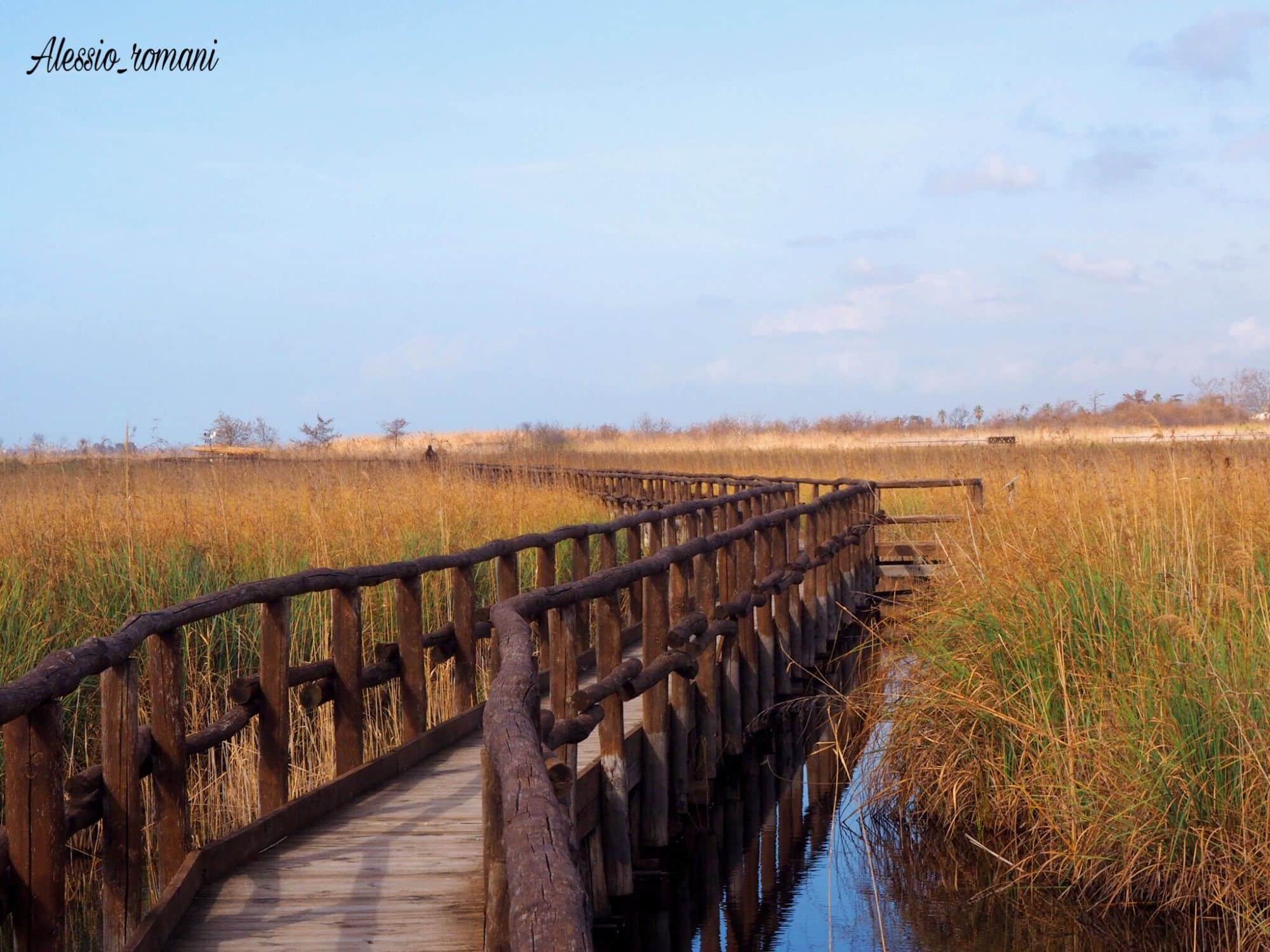 “Volontari per Natura”, Servizio Civile Regionale all’Oasi Lipu Massaciuccoli