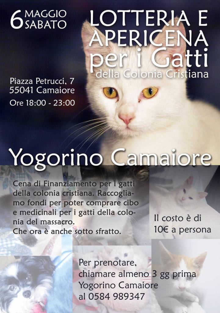 Locandina Happy Hour felino