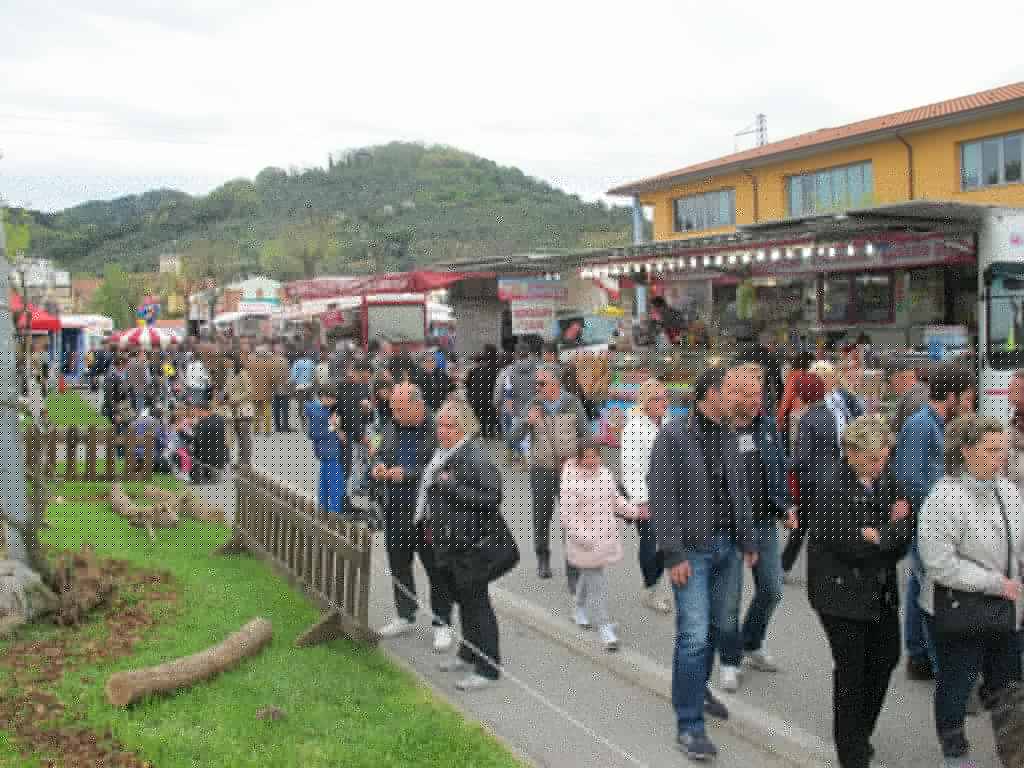mostra agrozootecnica a Massarosa