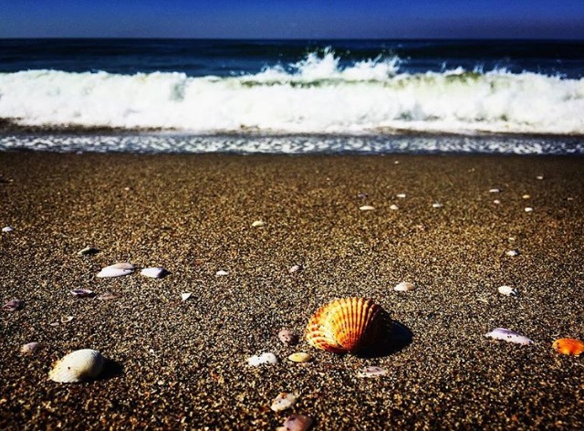 mare