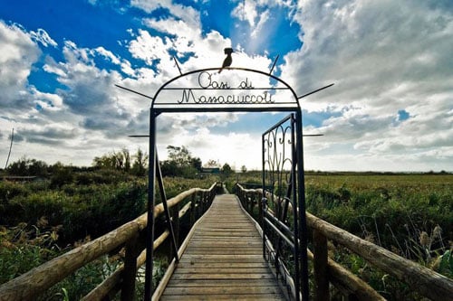 ingresso oasi lipu massaciuccoli