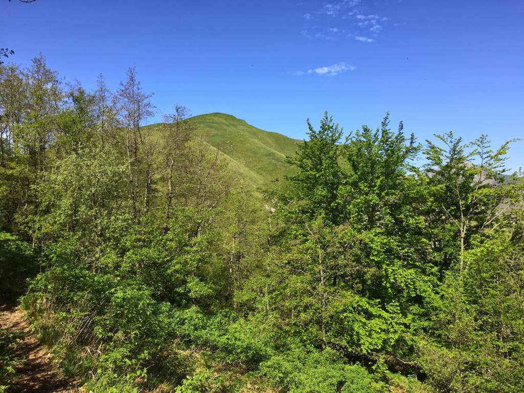 monte croce