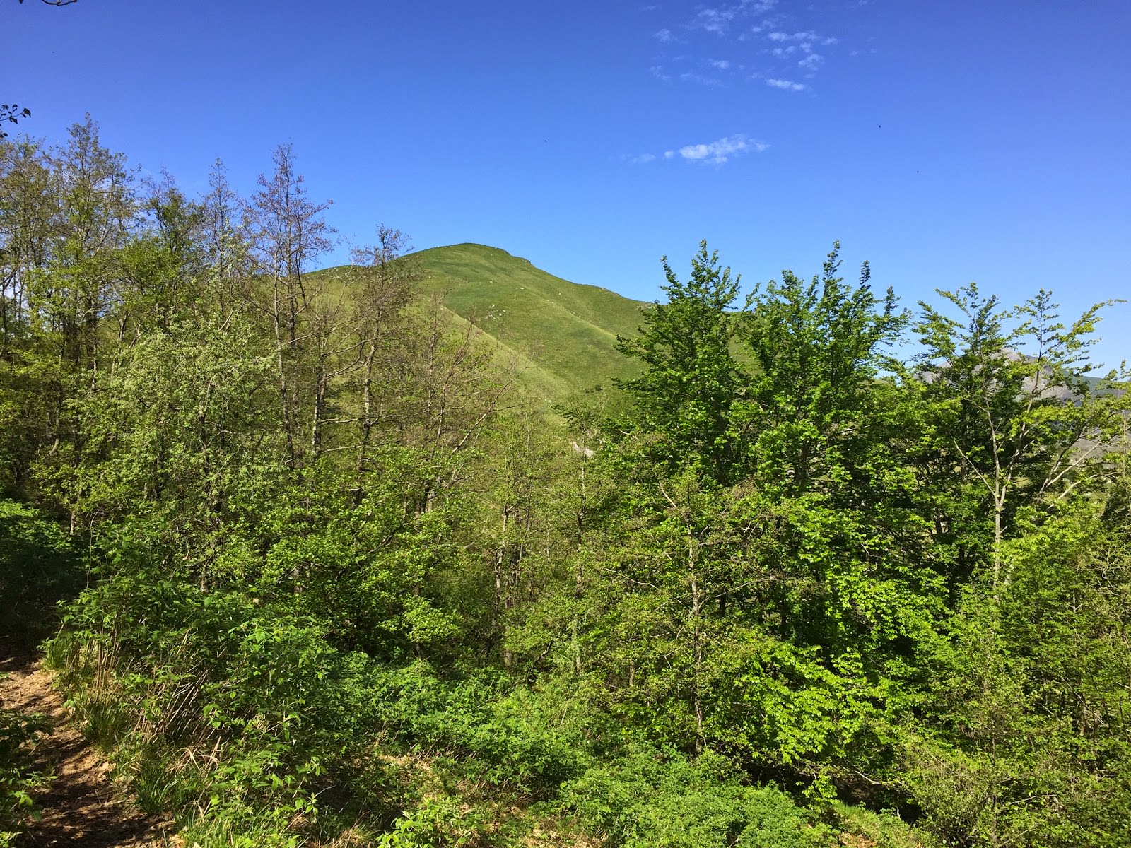 Trekking in vetta al Monte Croce