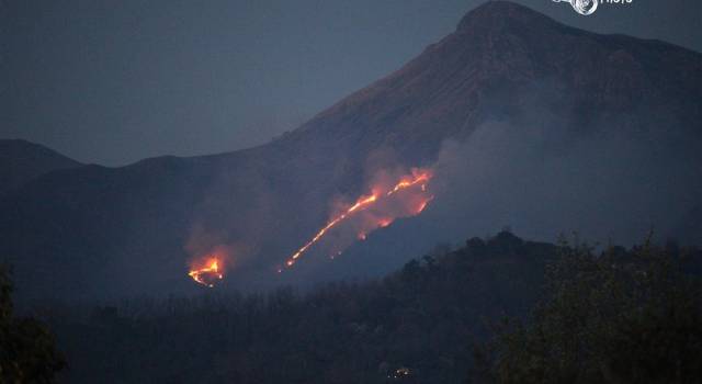 1,750 ettari di bosco andati in fumo, dal 1 luglio stop all’accensione di fuochi