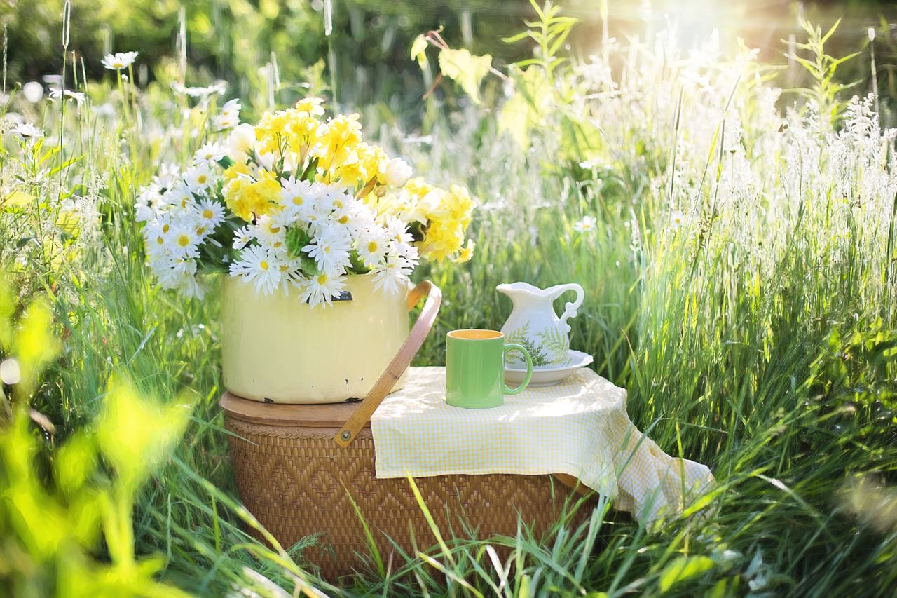 Consigli per una Pasquetta senza Plastica e Pesticidi