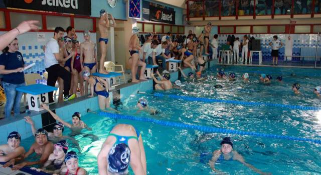 Oltre 300 iscritti per il trofeo di nuoto a Camaiore