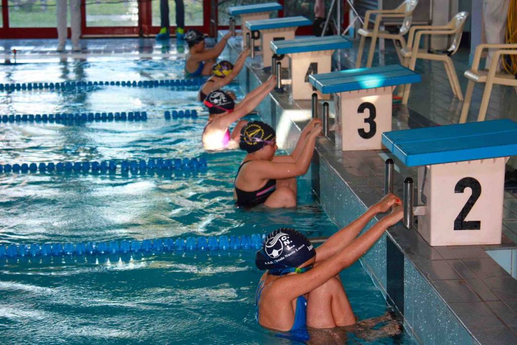 piscina camaiore nuoto meeting 2016