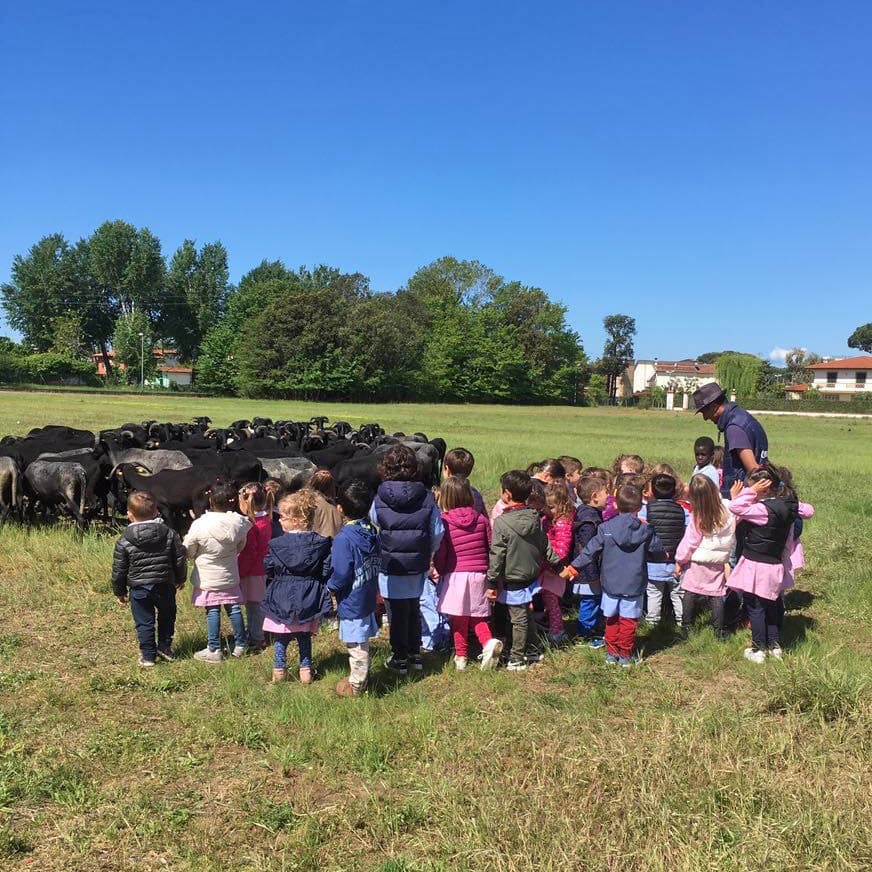 Premiata la scuola d’infanzia a Seravezza dal Parco delle Alpi Apuane