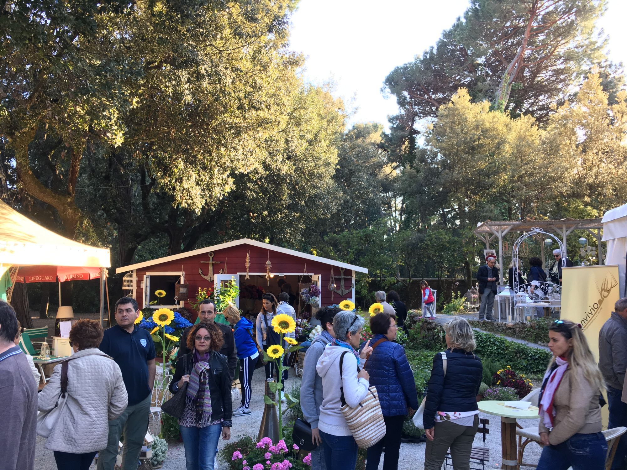 Ponte del Primo Maggio dai grandi numeri, boom di presenze a Pietrasanta