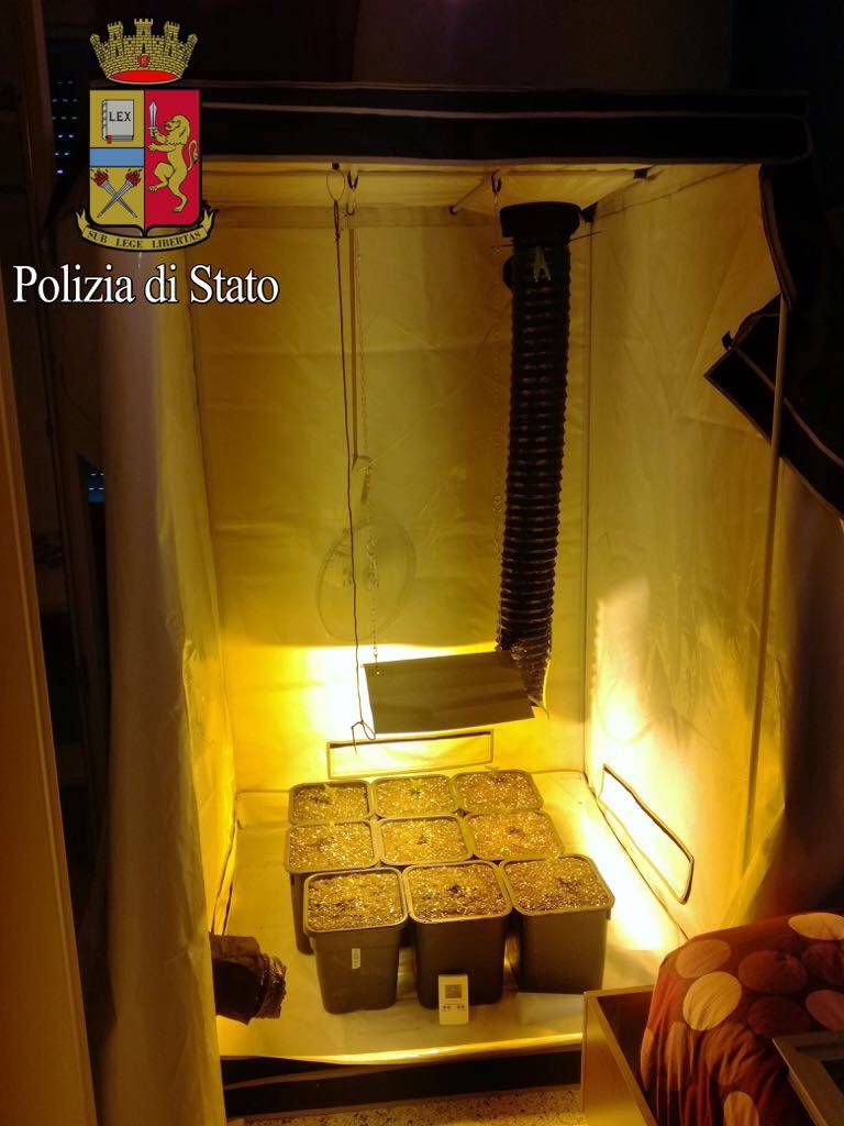 IMG 0170 27 05 17 11 58