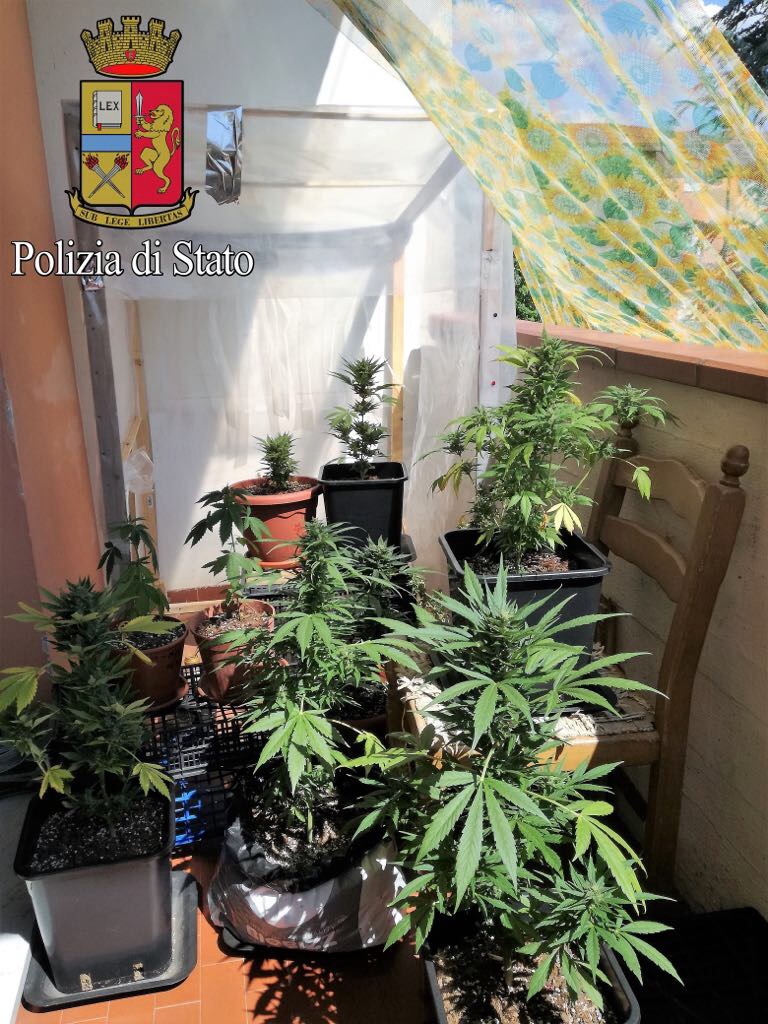 Coltivavano marijuana in casa, denunciati