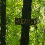 Monte Gabberi, escursione sulle Apuane anche per famiglie 10 Monte gabberi per la grotta del Tanaccio