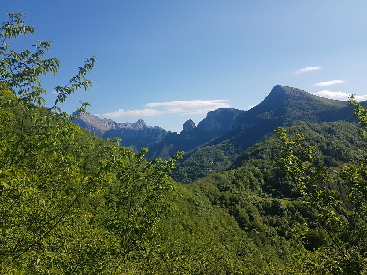 Monte gabberi veduta sul Monte Procinto