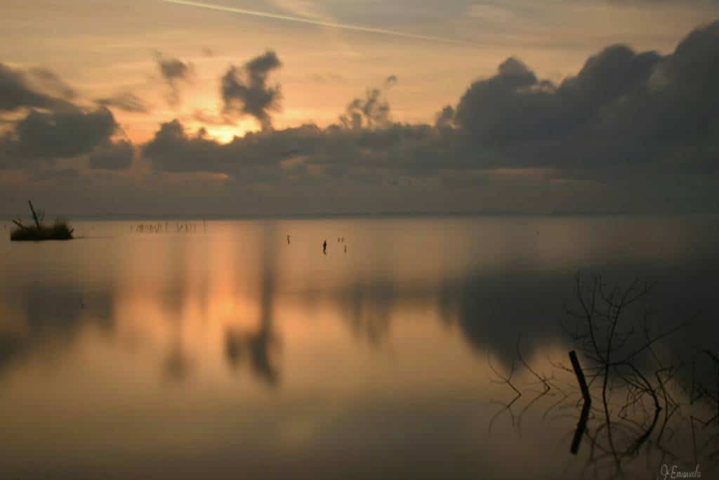 lago di massaciuccoli