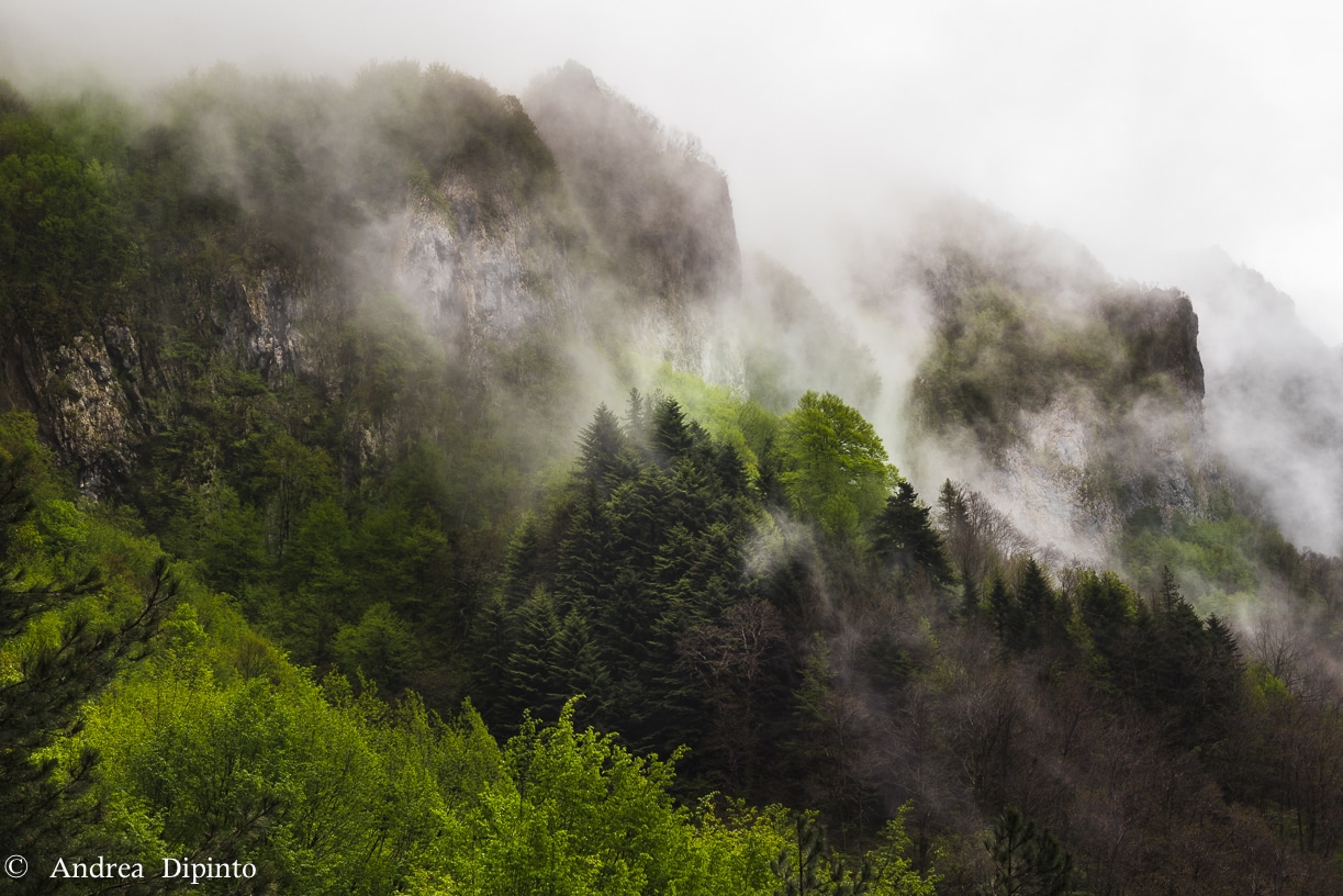 Sulle Apuane