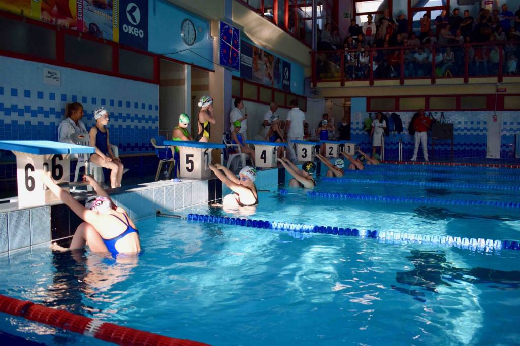 trofeo nuoto Campus Maior piscina camaiore
