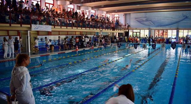 Camaiore, centomila euro per palasport e piscina