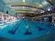 trofeo nuoto Campus Maior piscina camaiore