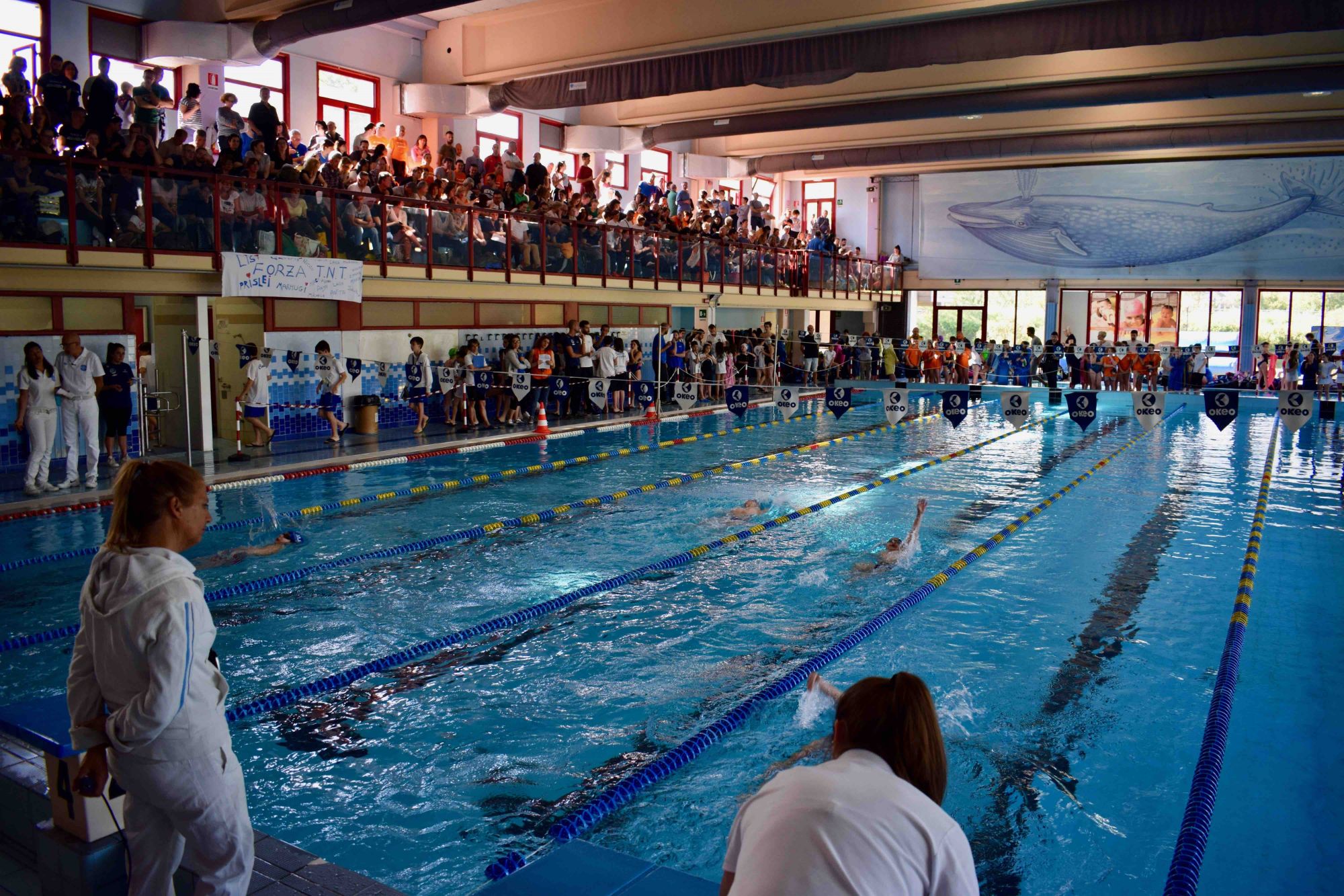 Camaiore, centomila euro per palasport e piscina