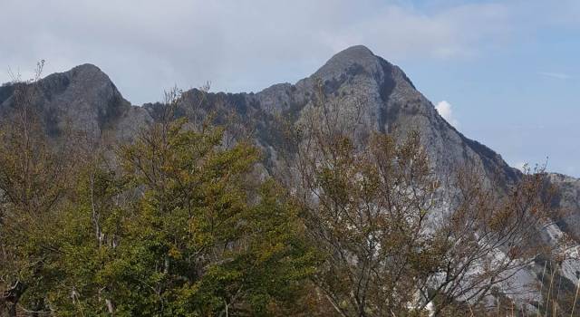 Monte dei Ronchi, un&#8217;escursione divertente in Alta Versilia