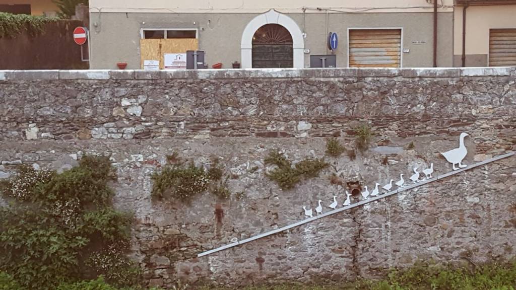 papere della beppa