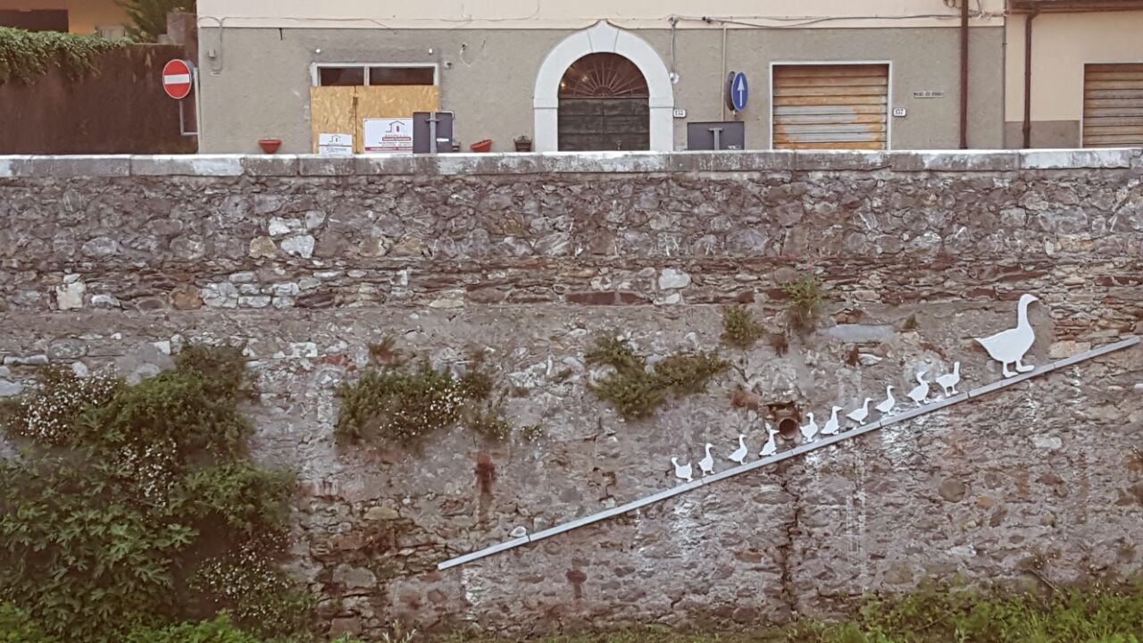 papere della beppa