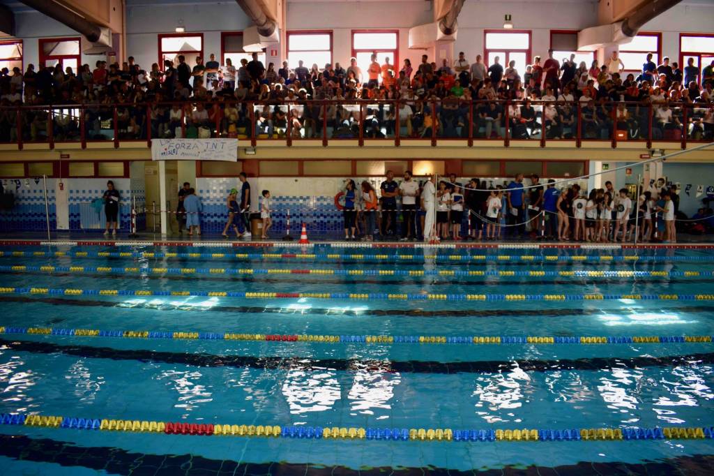 trofeo nuoto Campus Maior piscina camaiore