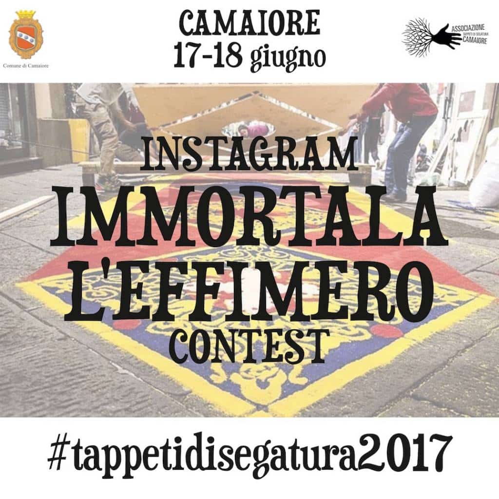 challenge tappeti segatura