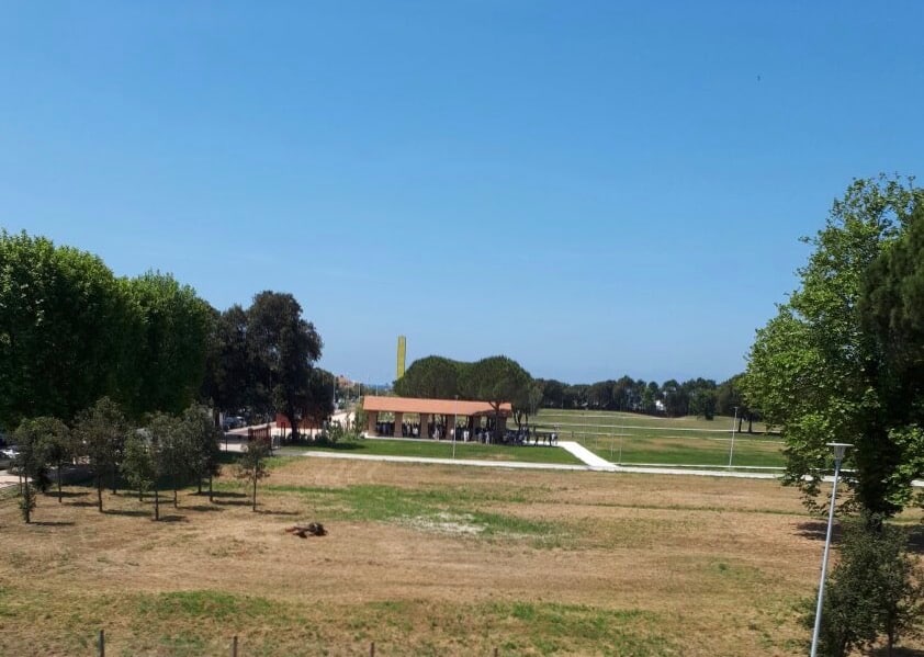 bussola domani