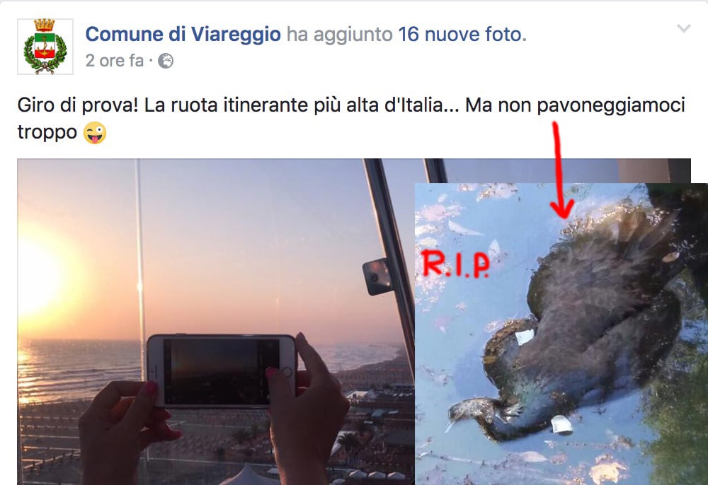 Se scherzare su un animale morto è comunicazione istituzionale