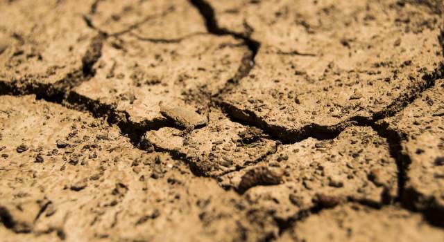 Allarme siccità, a rischio centinaia di ettari e migliaia di euro