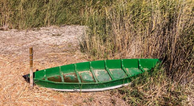 Coldiretti Toscana: siccità minaccia più della metà del valore agricolo regionale