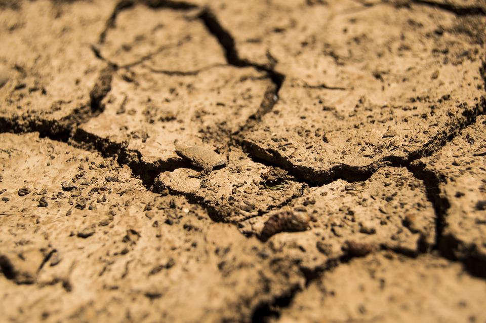 Allarme siccità, a rischio centinaia di ettari e migliaia di euro