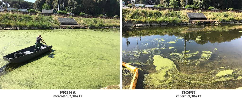 La Fossa dell'Abate torna a splendere, rimosse migliaia di alghe