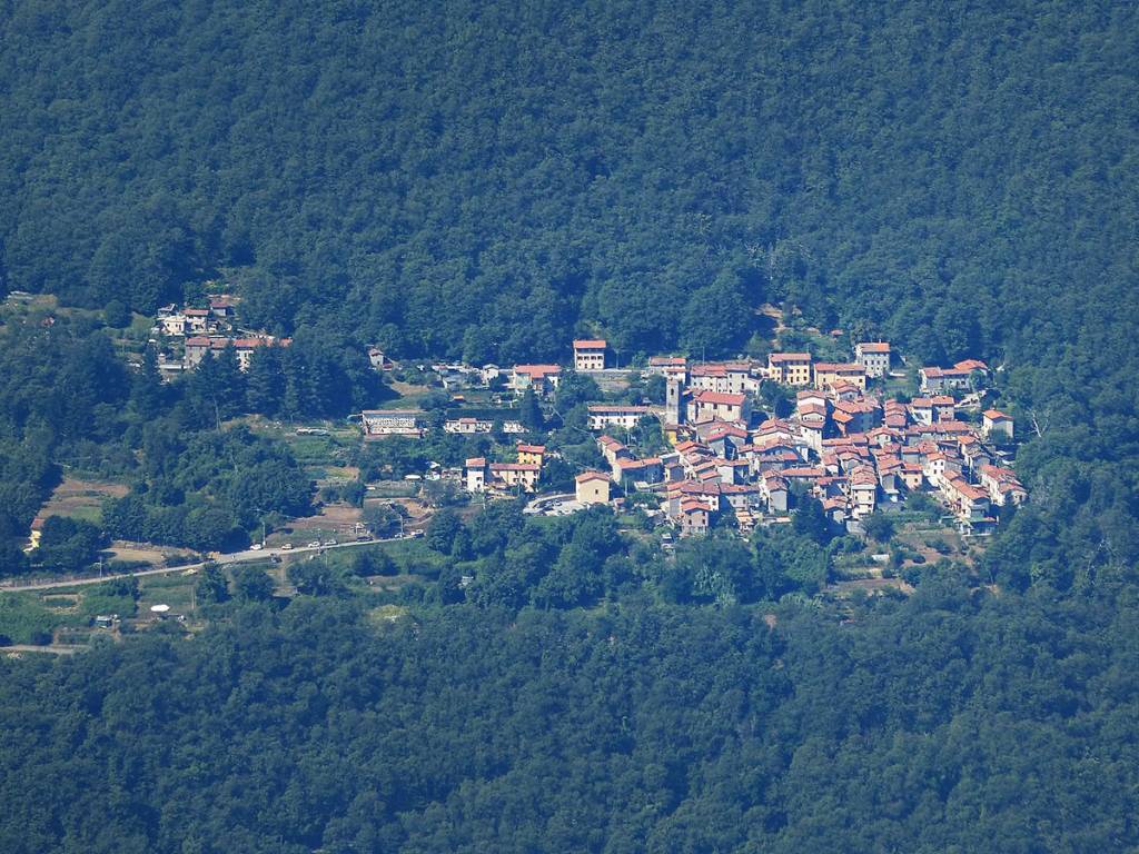 basati seravezza