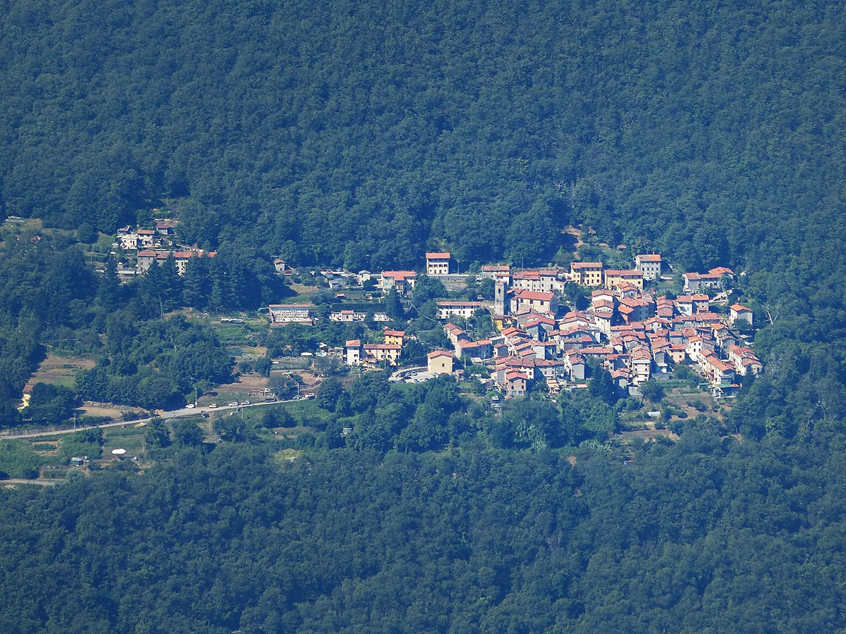 basati seravezza
