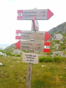Pania della croce Focetta del Puntone e1500216575756