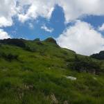 Pania della croce i prati dopo il bosco